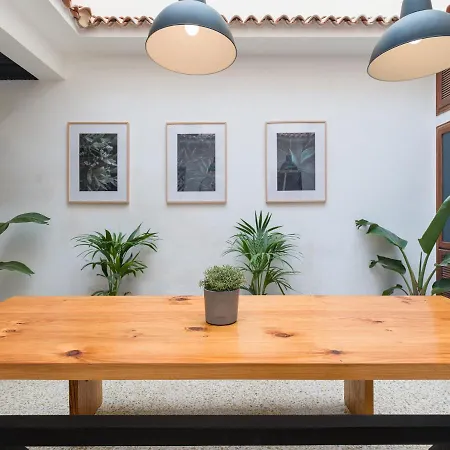 Cathedral 大加那利岛拉斯帕尔马斯