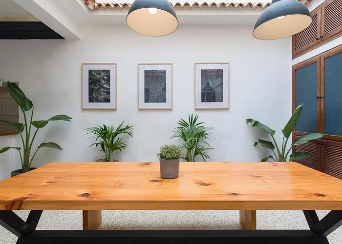 Cathedral 大加那利岛拉斯帕尔马斯