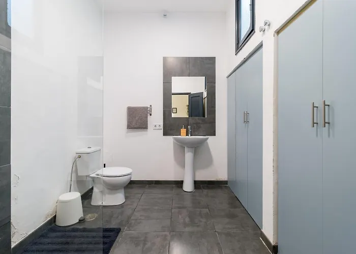 Cathedral 大加那利岛拉斯帕尔马斯